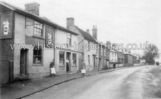 The Street, Weeley, Essex. c.1905
